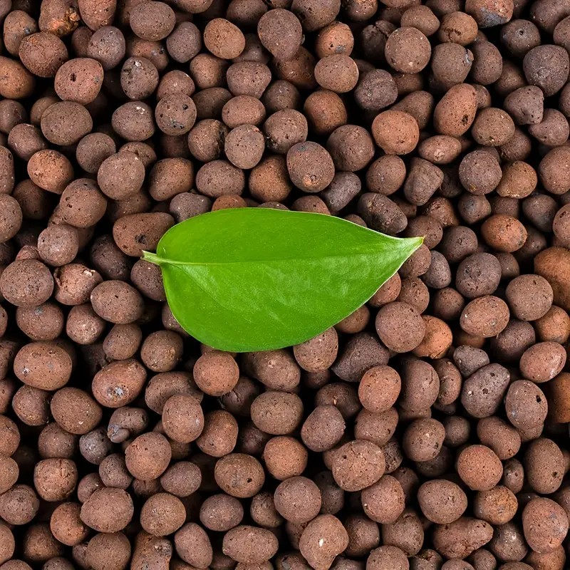 Clay Pebble Growing - 1lb seixos de argila hidropônica reutilizáveis