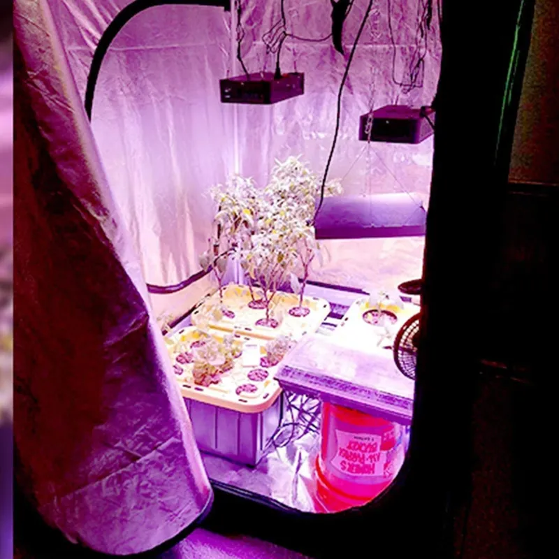 Grow Tent 4X4 - Nova Tendência: Tenda de Cultivo 4x4