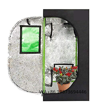 Grow Tent 4X4 - Kit Completo de Tenda de Cultivo