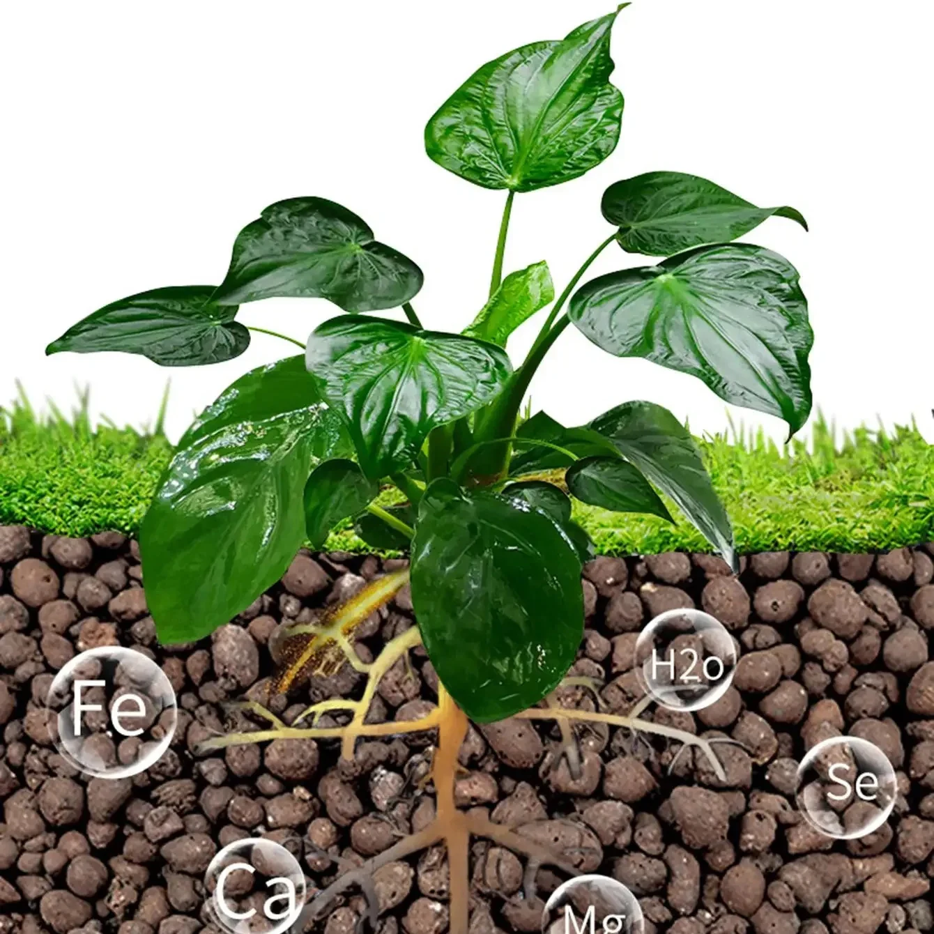 500 g/pacote bolas de leca sei - Clay Pebble Growing avaliação e preço