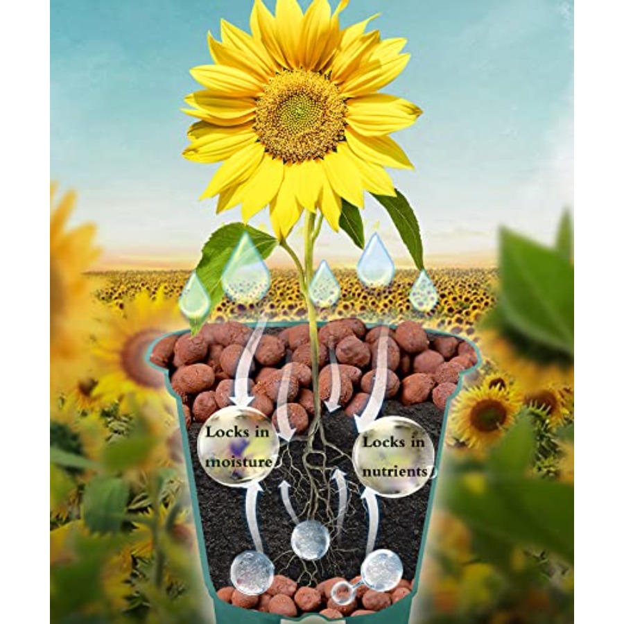 Pedras de Argila Voulosimi par - Clay Pebble Growing avaliação e preço