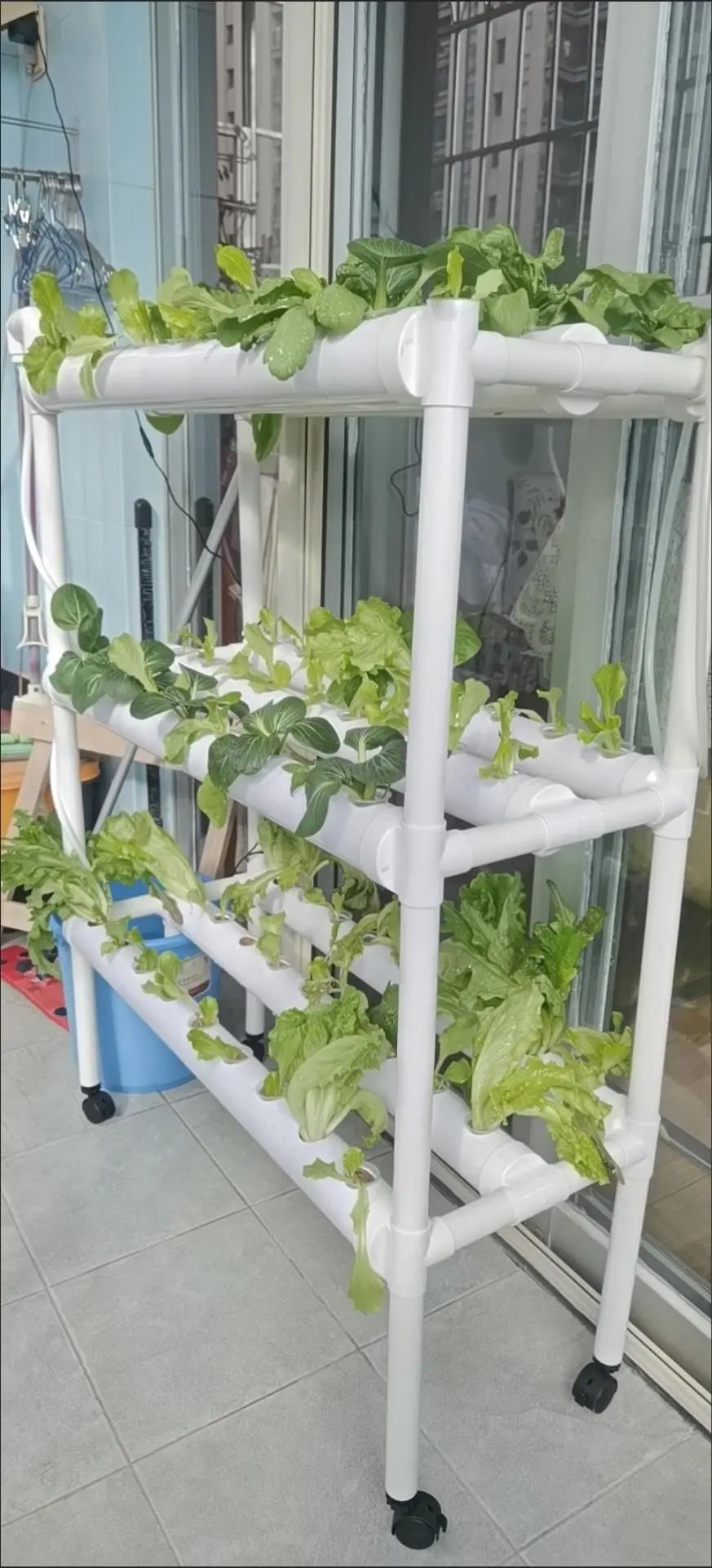 China crescer tenda plantas de - Grow Tent 4X4 avaliação e preço