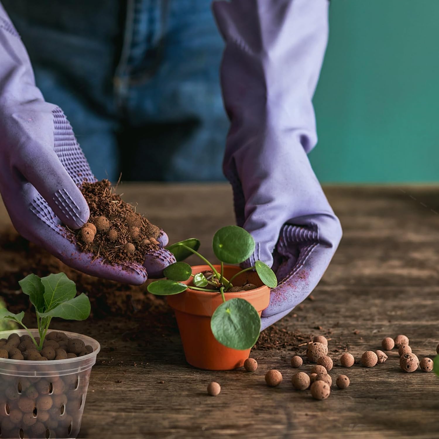 Bolas de Argila Orgânica 2L/1L - Clay Pebble Growing avaliação e preço