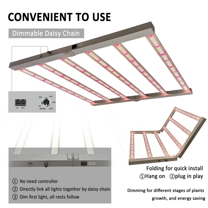 Estoque em alemão, pronto para - Grow Tent 4X4 avaliação e preço