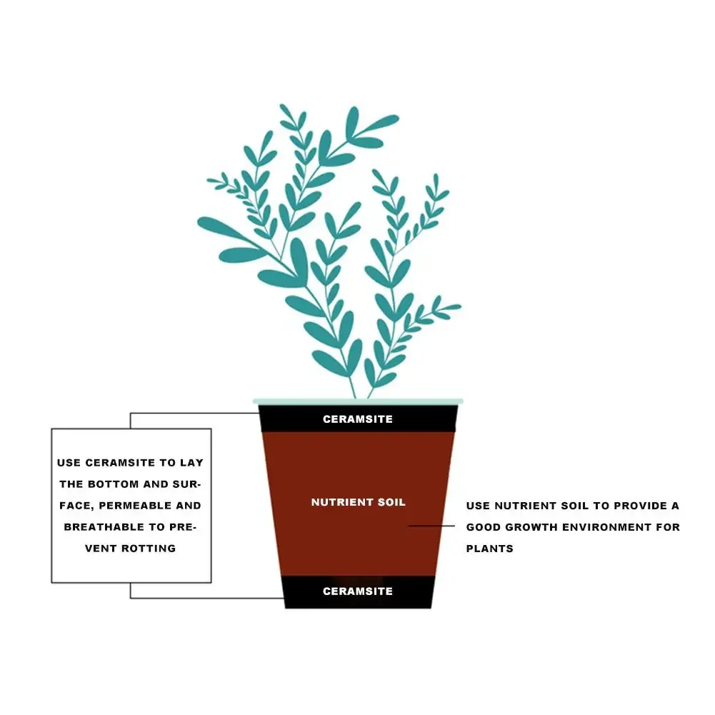 1l seixos de argila expandida  - Clay Pebble Growing avaliação e preço