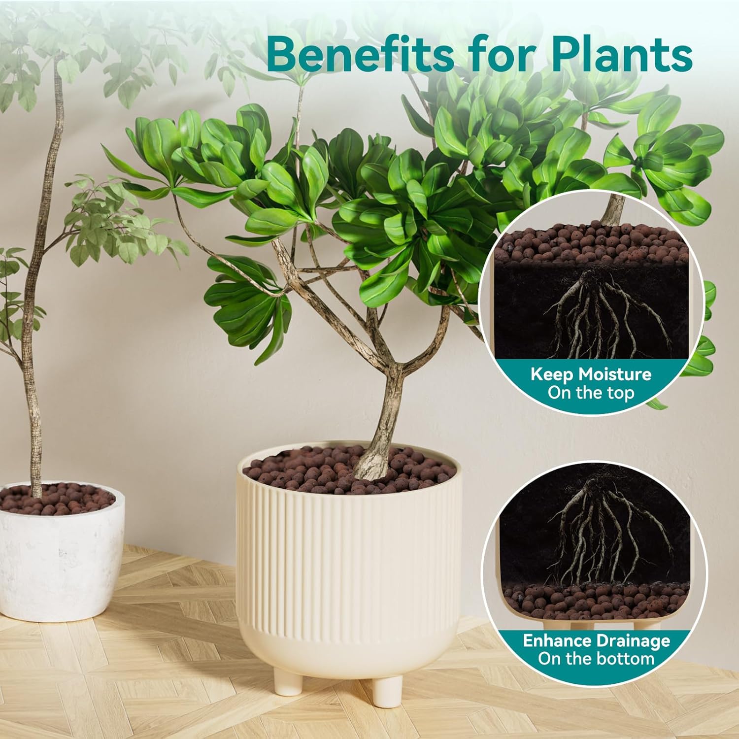 Argila em Bolinhas 100/200G pa - Clay Pebble Growing avaliação e preço