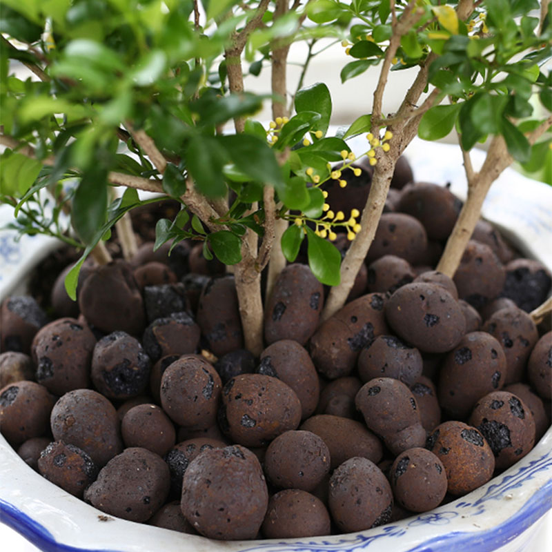 Seixos De Argila De Ceramsite  - Clay Pebble Growing avaliação e preço