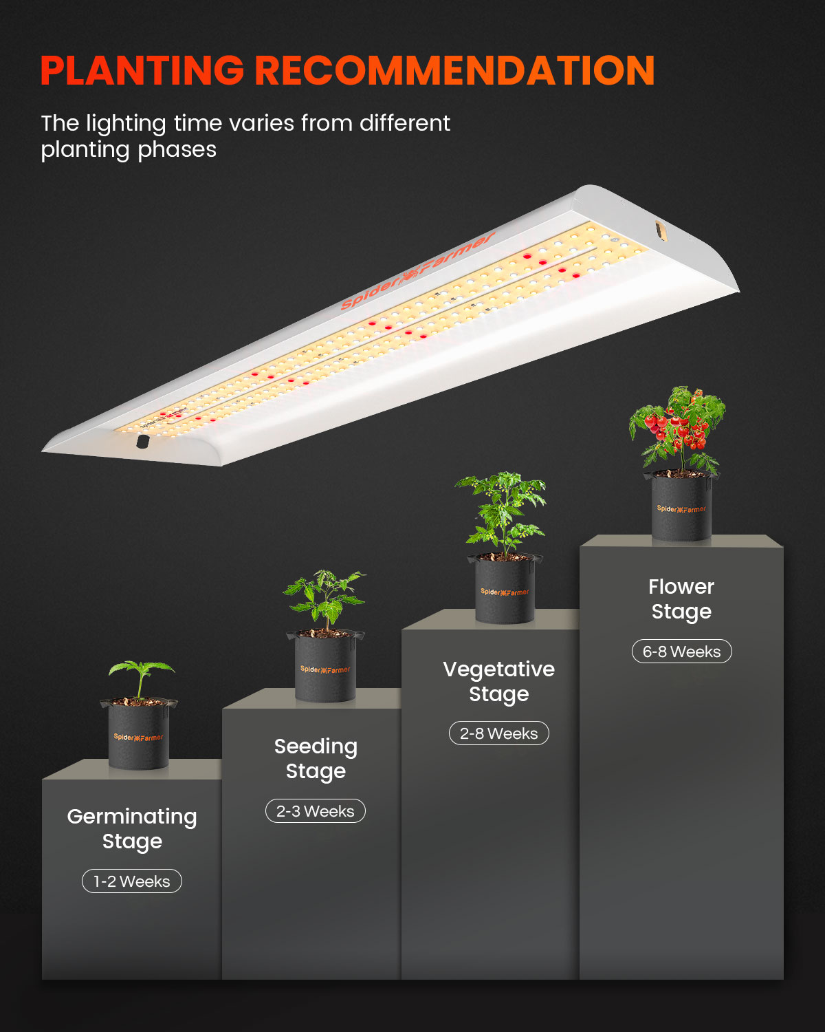 Spider Farmer SF300 LED Grow L - Grow Tent 4X4 avaliação e preço