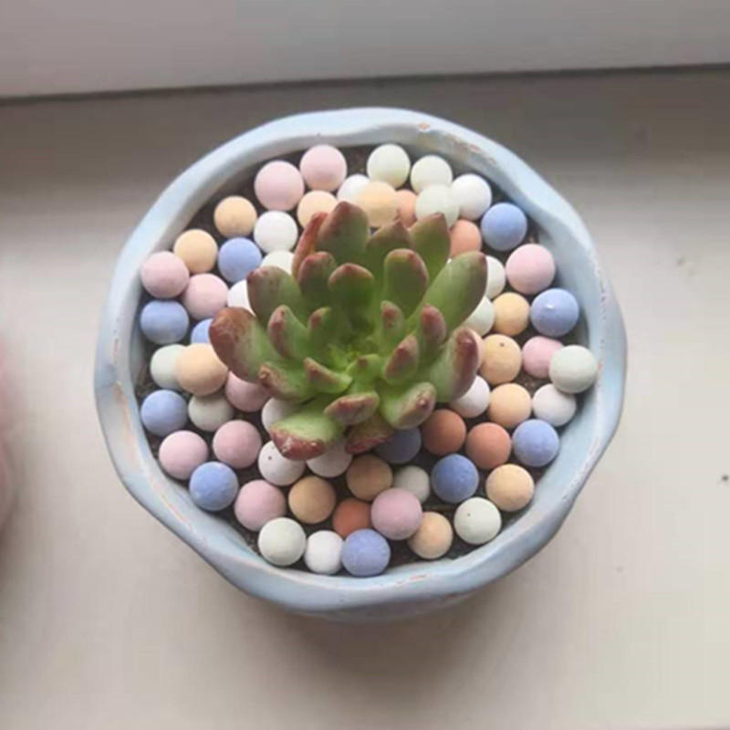 Sólido Ceramsite Expandido Sei - Clay Pebble Growing avaliação e preço